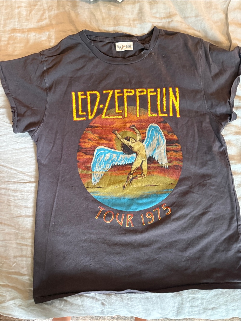 Led Zeppelin Tour 1975 Graphic Tee - Black with Multicolor Print
